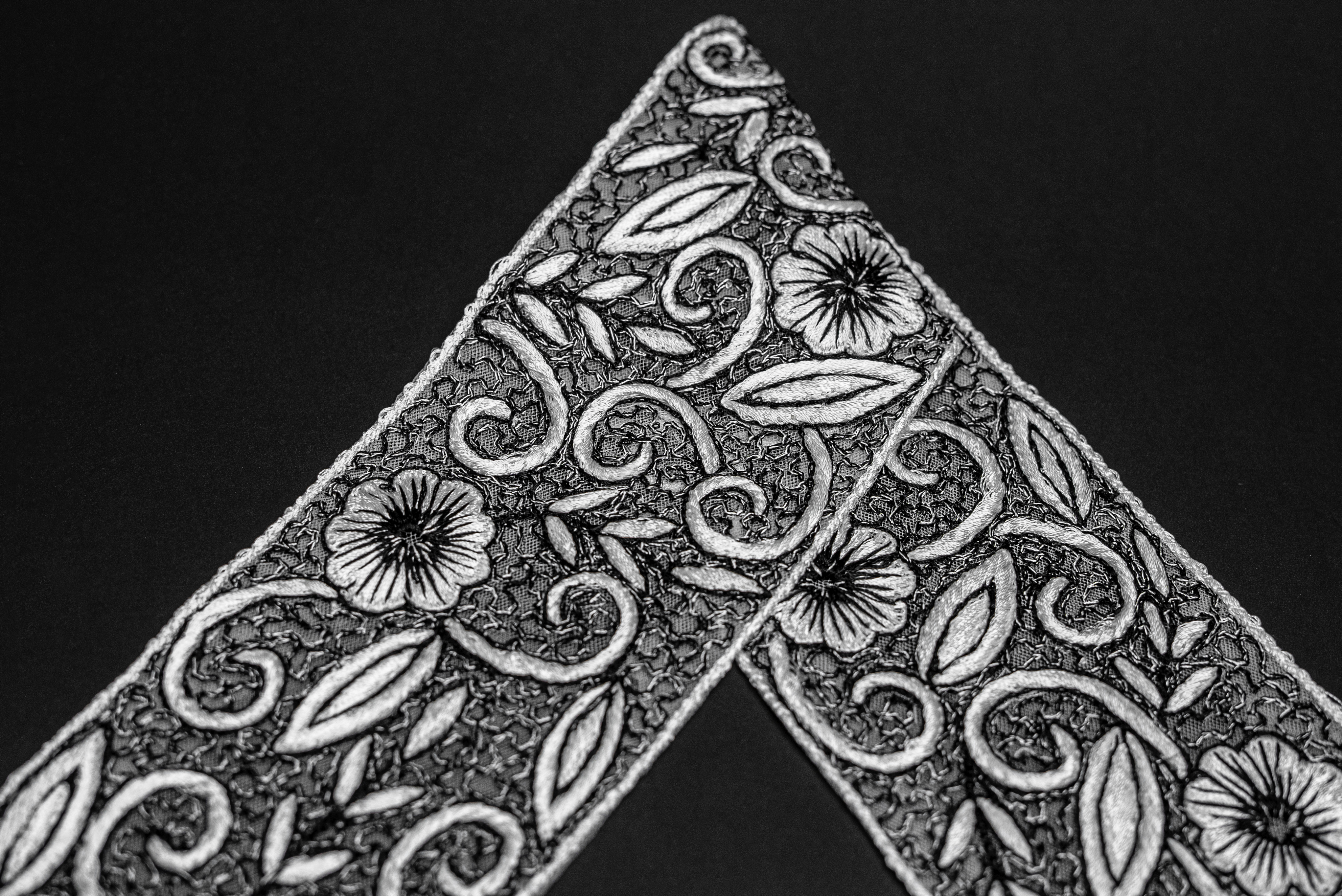 ORNATE VINE EMBROIDERED LACE TRIM
