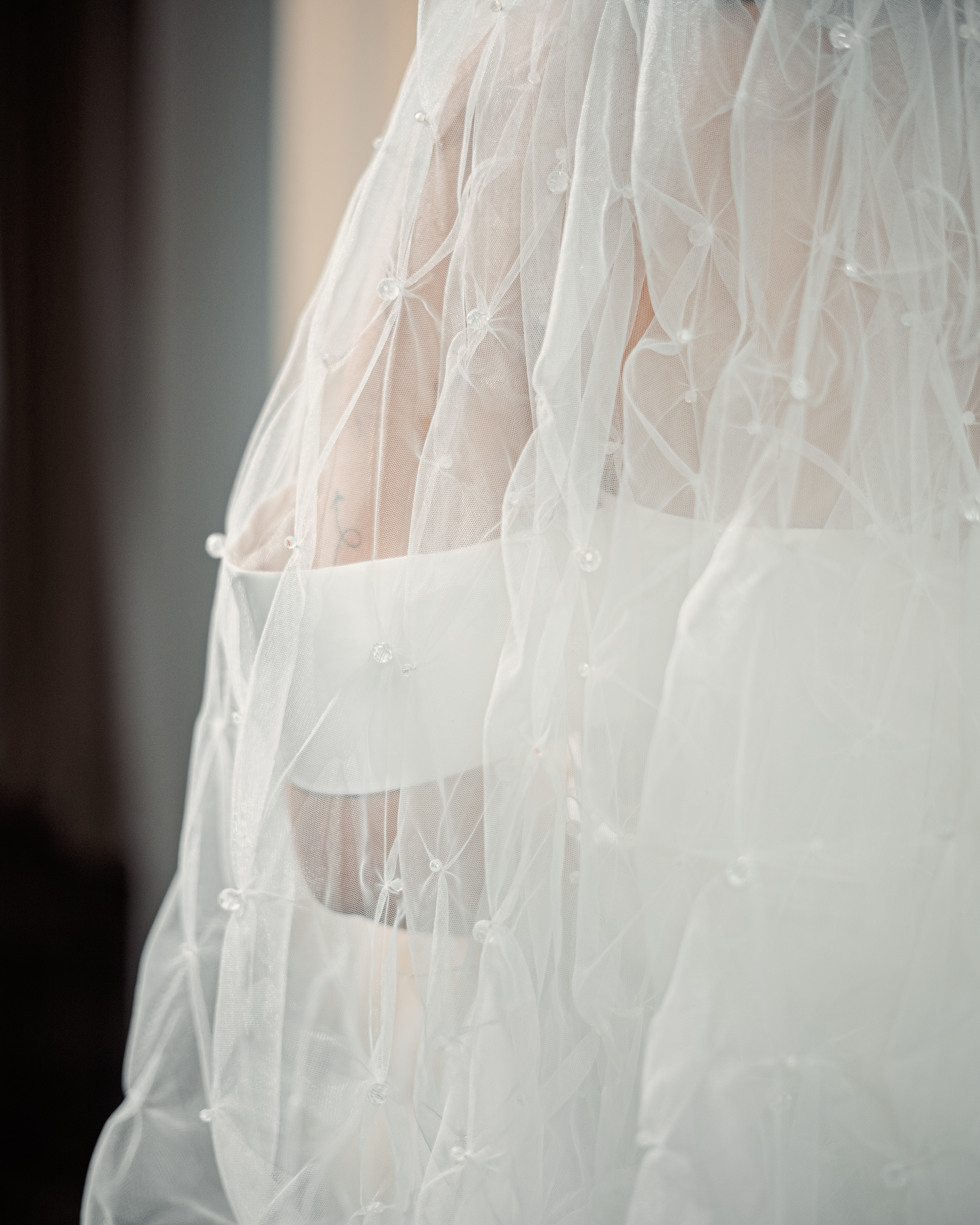 PEARL-EMBELLISHED RIBBON TRIM VEIL