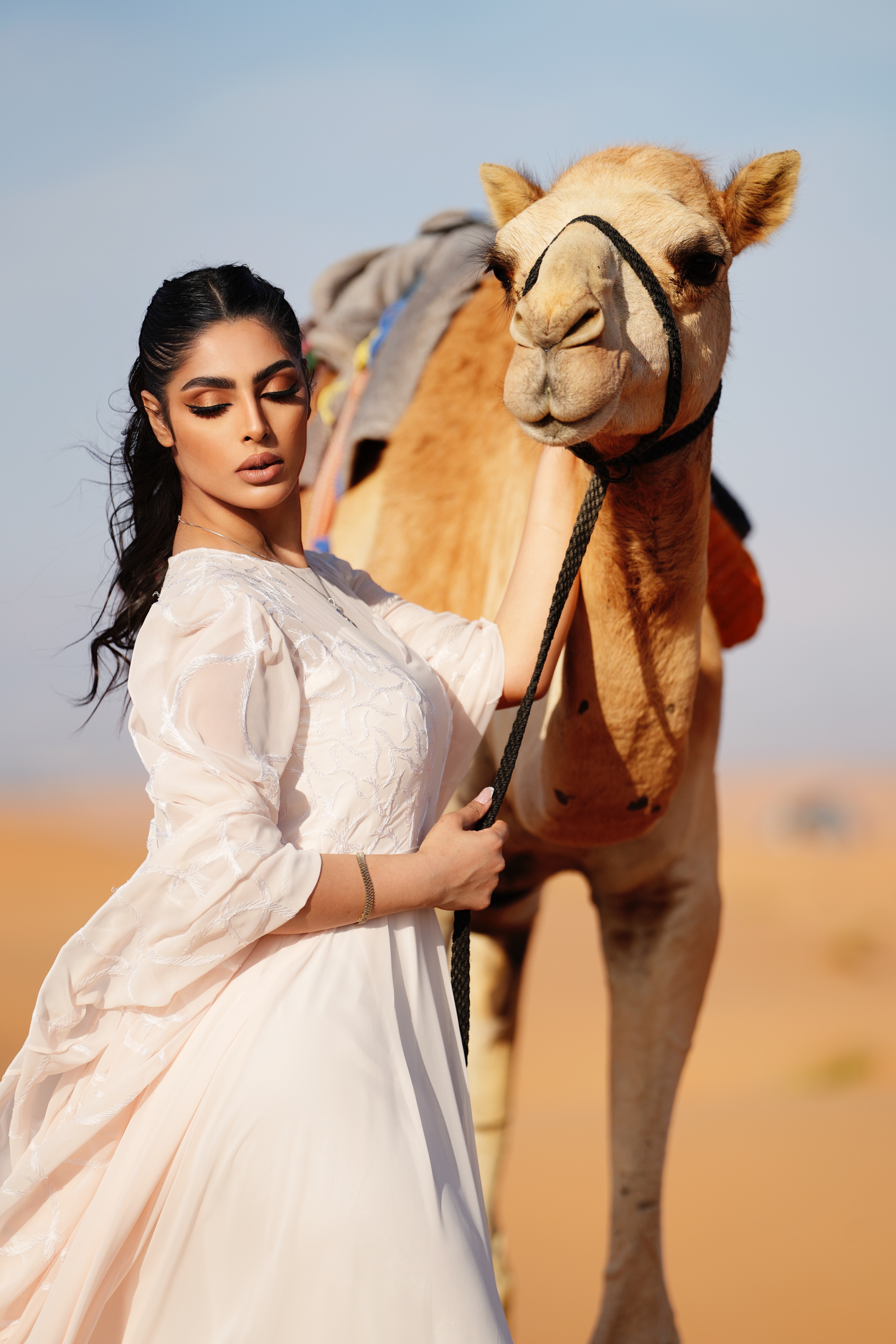 Traditional Omani Camel